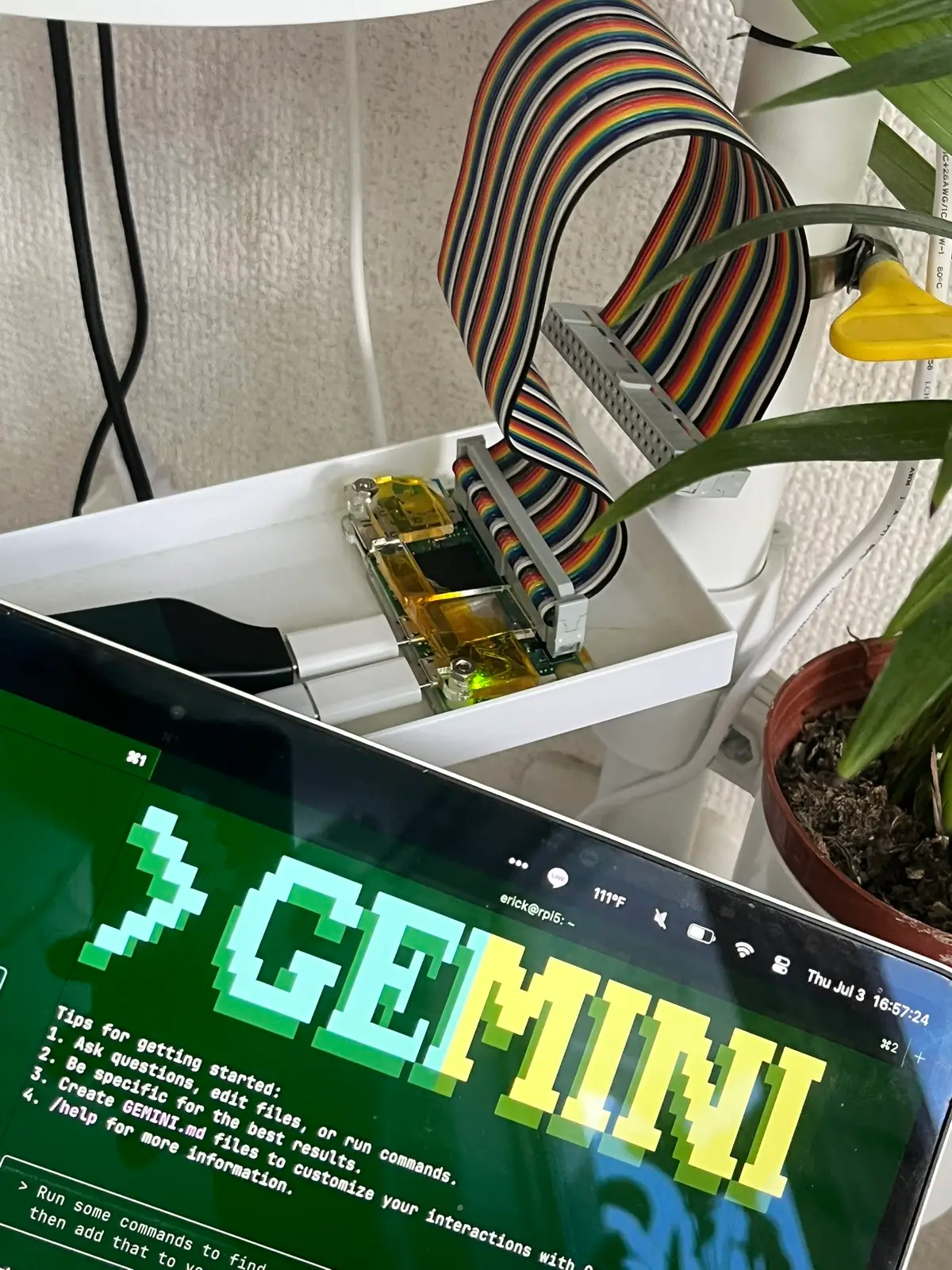 Raspberry Pi setup running automation scripts